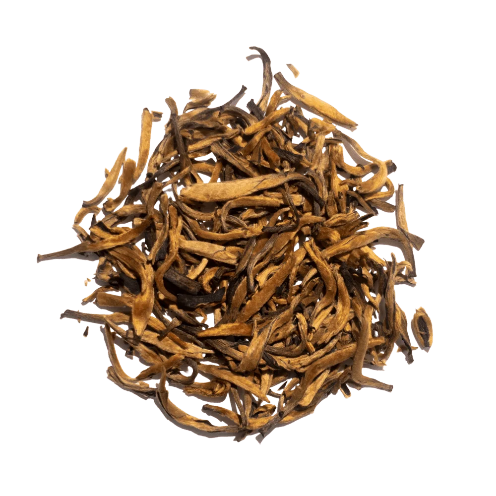 Golden Bud | Dianhong Cha Tea