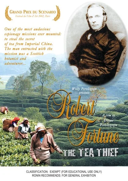 The Tea Thief (DVD)