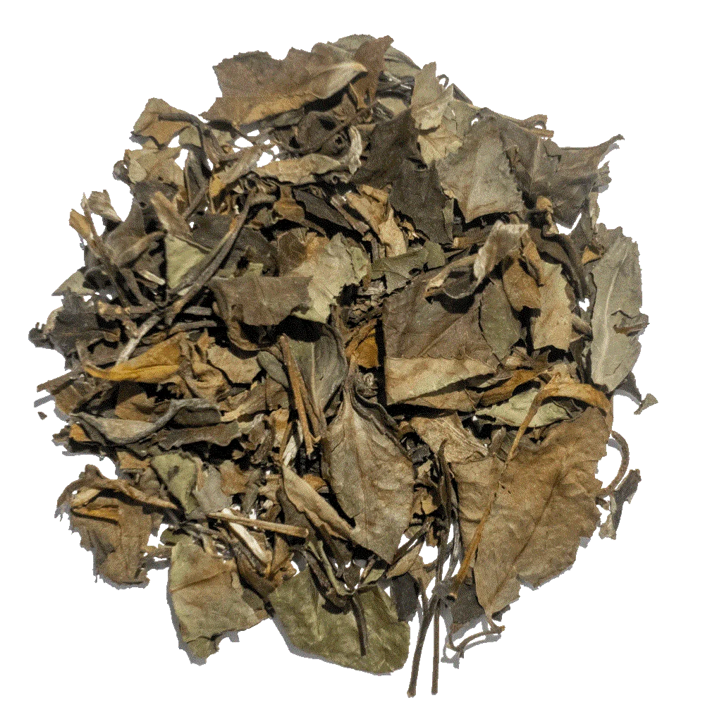 Bai Mudan | Pai Mu Dan | White Peony Tea