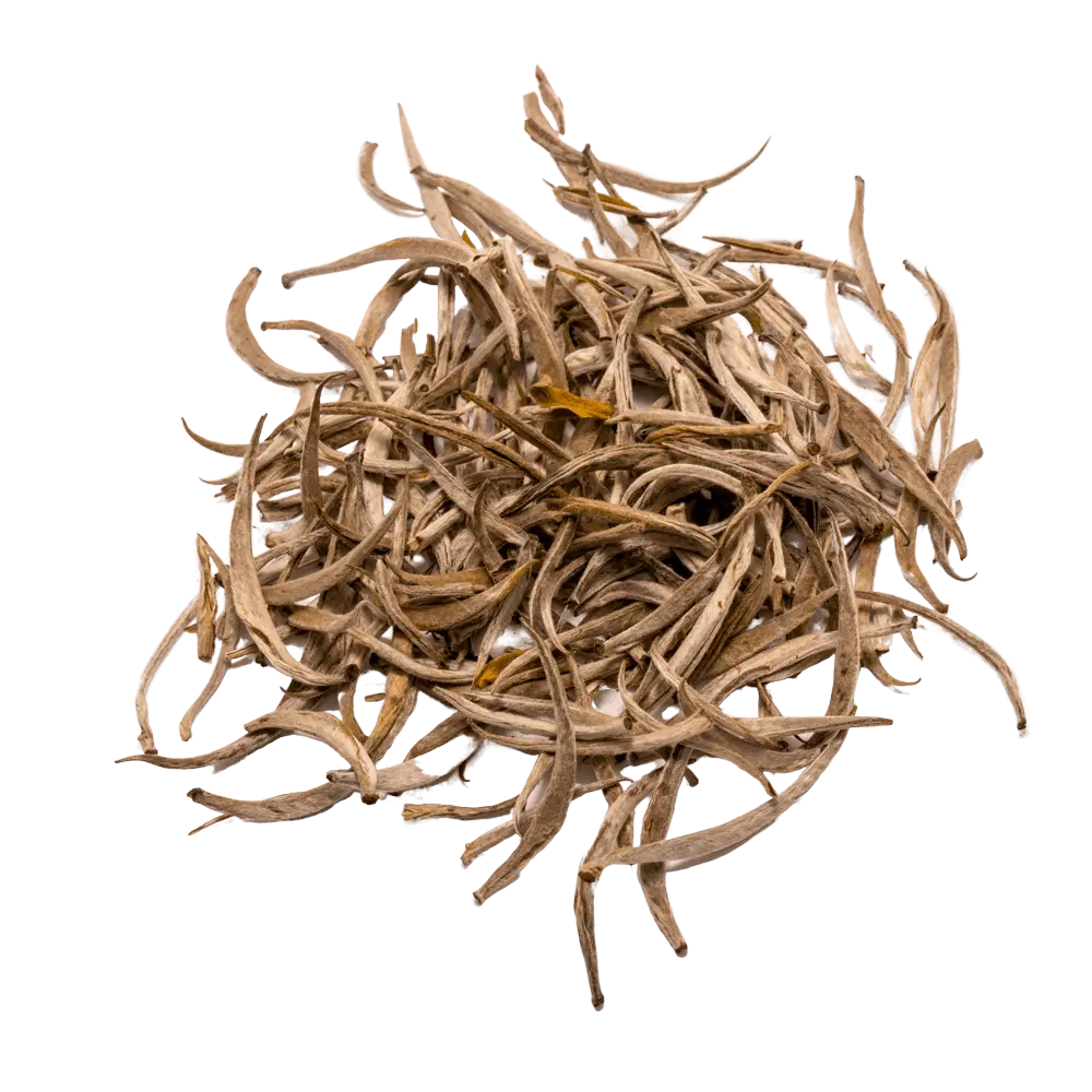 Indonesian Silver Needle Tea