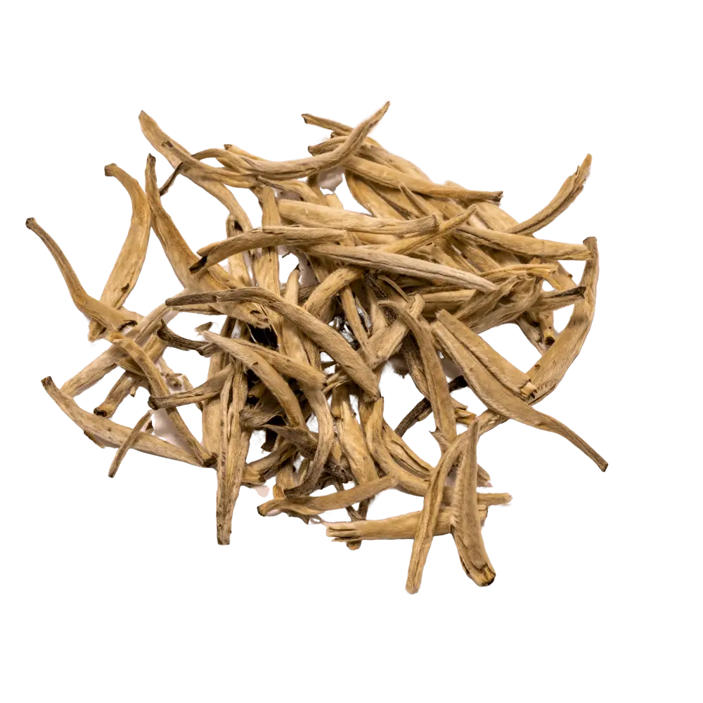 Silver Needle | Baihao Yinzhen Tea