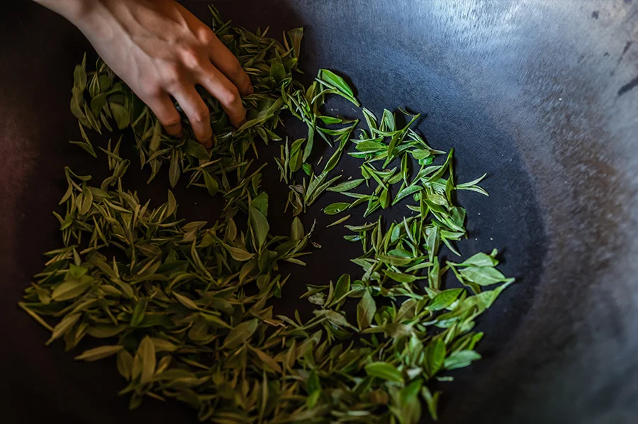 An artisan performs kill-green on the leaves using the ancient Chinese panning method.