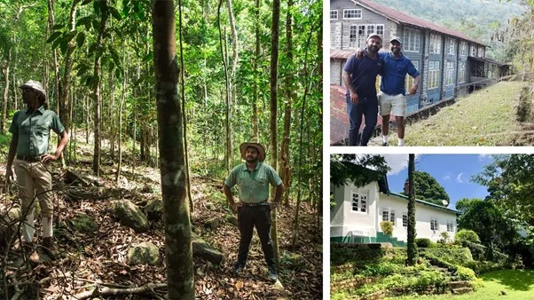 Photos of tea estates in Sri Lanka.