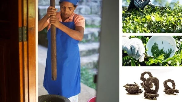 A woman from Sri Lanka makes handmade artisanal tea