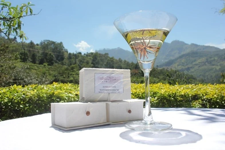 An artisan blooming Ceylon tea in a glass.