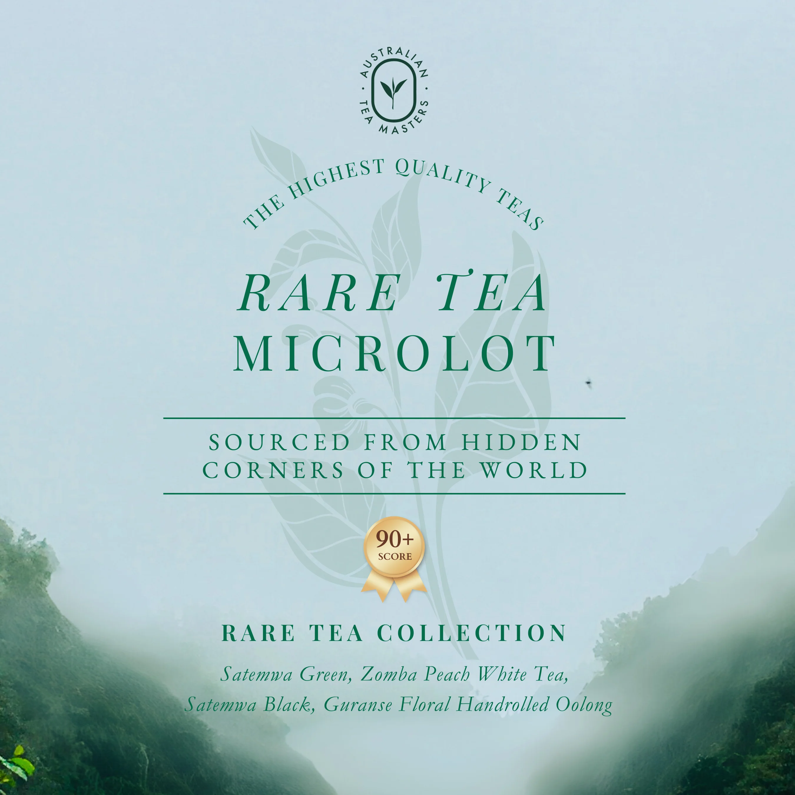 rare tea microlot gift box handpicked small batch premium teas