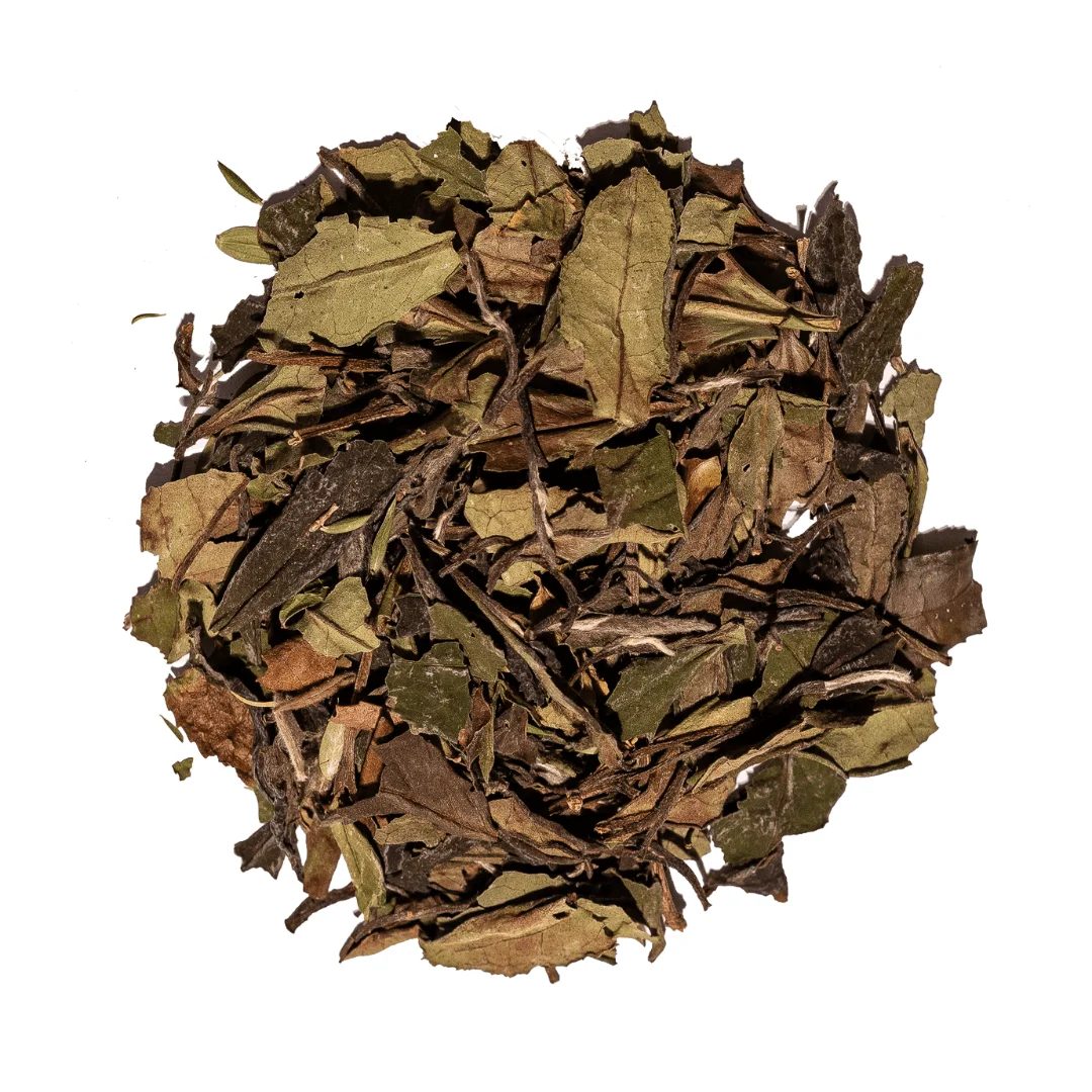australian honeyeater tea