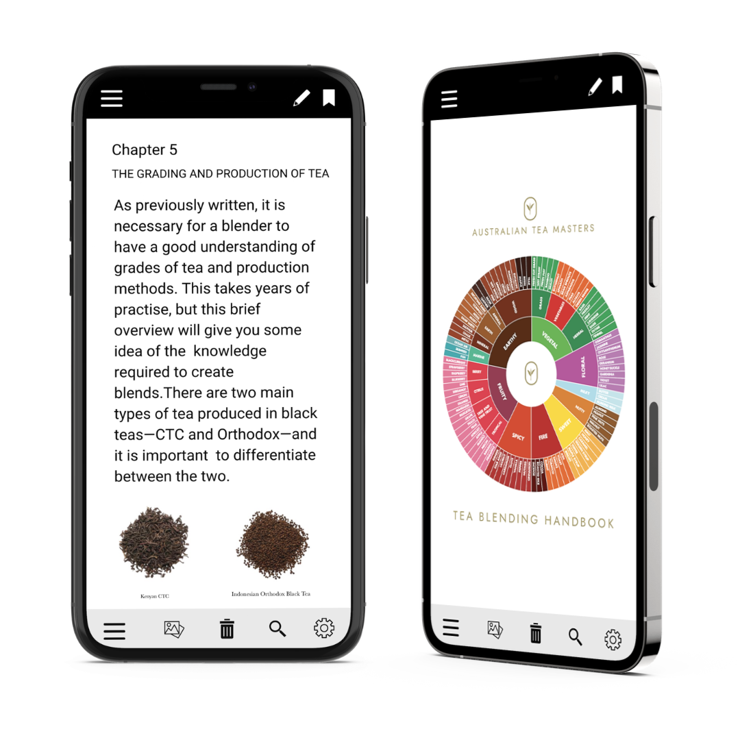e-blendingbook(2)
